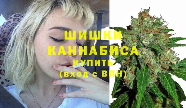 тгк Гусиноозёрск